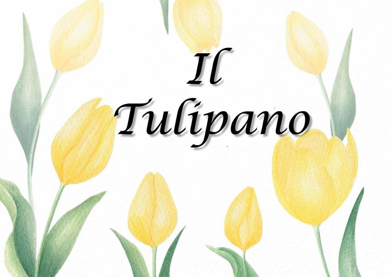 Ferienwohnung Il Tulipano Trezzano Rosa Exterior foto
